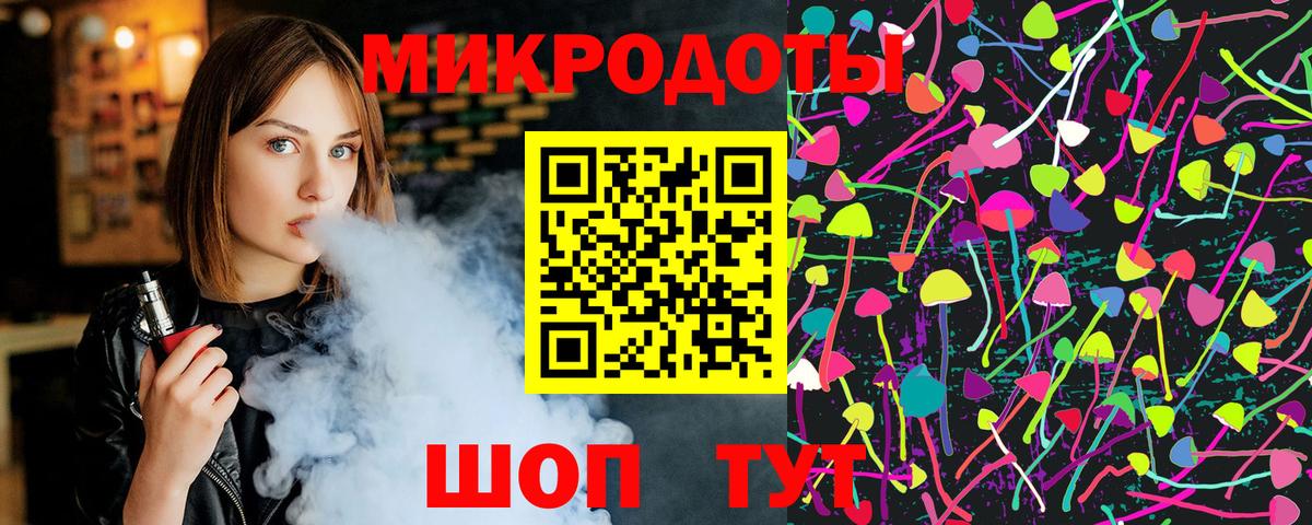 Галлюциногенные грибы Psilocybe Амурск