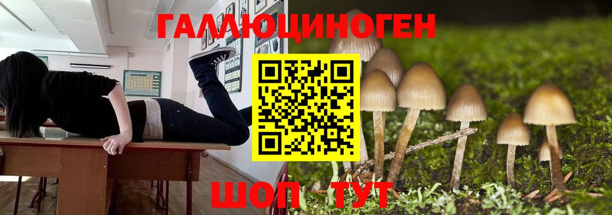 Галлюциногенные грибы Psilocybine cubensis  Вход с VPN  купить наркотик  Амурск 